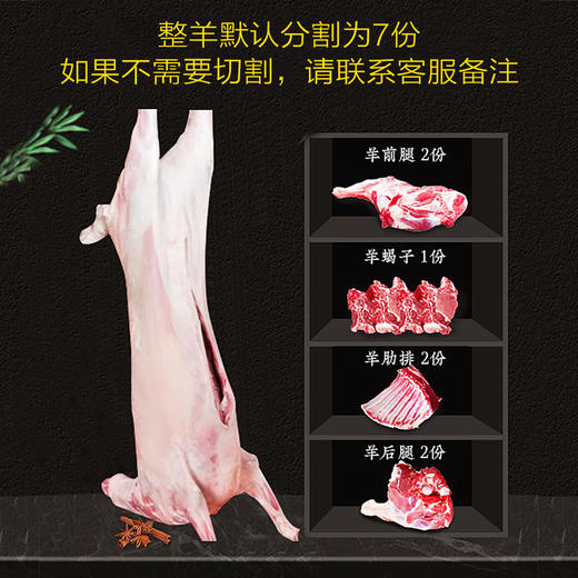 『正宗盐池滩羊肉』鲜嫩不膻，奶香醇浓，被奉为“羊肉圣品”，吃天然中草药、喝沟泉水长大 商品图6