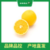 PAGODA百果园 赣南脐橙（大）10斤彩箱装（净重4.5kg-5kg） 商品缩略图0
