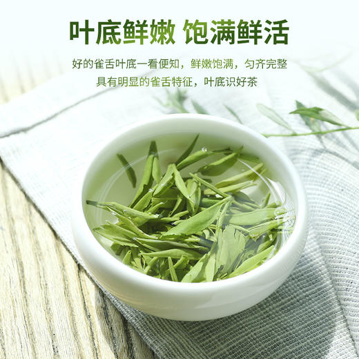 2026明前新茶 特尊茶5星雀舌四川峨眉雀舌绿茶125g*2袋 商品图5