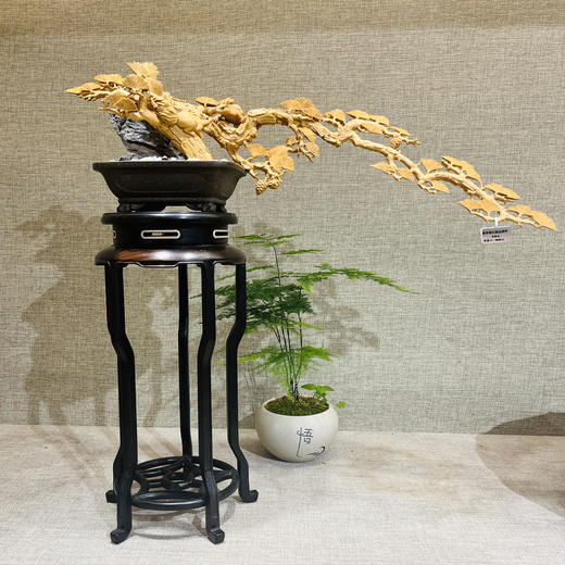 松柏长青°黄杨木摆件(含底座) 商品图0