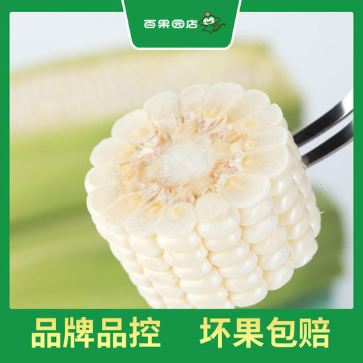 PAGODA百果园 A级-微玉冰糖玉米3斤家庭装 商品图2