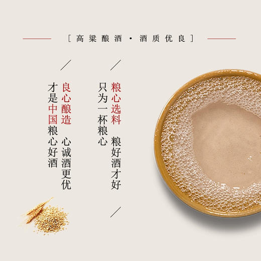 【浓香型】北大仓柔和八年白酒450ml 42度 商品图2