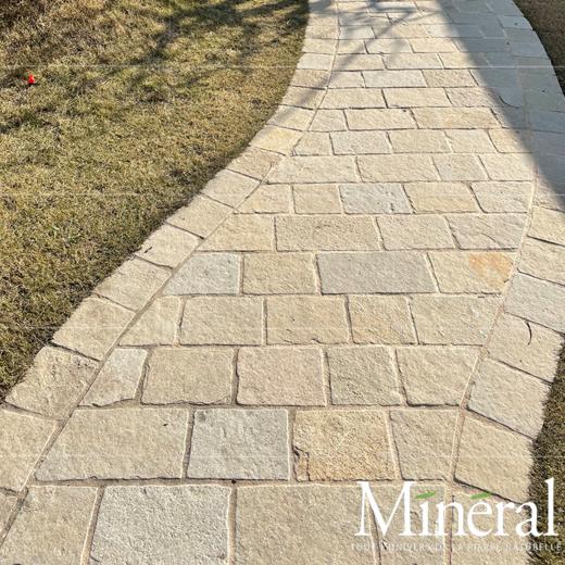 西班牙秋黄自由长 商品图5