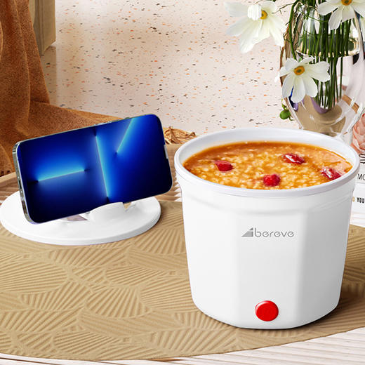 艾贝丽电煮锅 ABL-DZG10B 商品图7