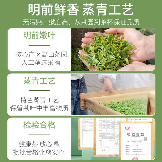 2026新茶 恩施玉露早春茶精品特级明前茶叶100g*2罐 商品图4