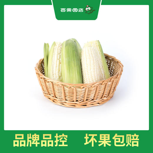 PAGODA百果园 A级-微玉冰糖玉米3斤家庭装 商品图1