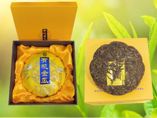 菜头商城 有机金瓜茶 纯料古树普洱生茶 商品图6