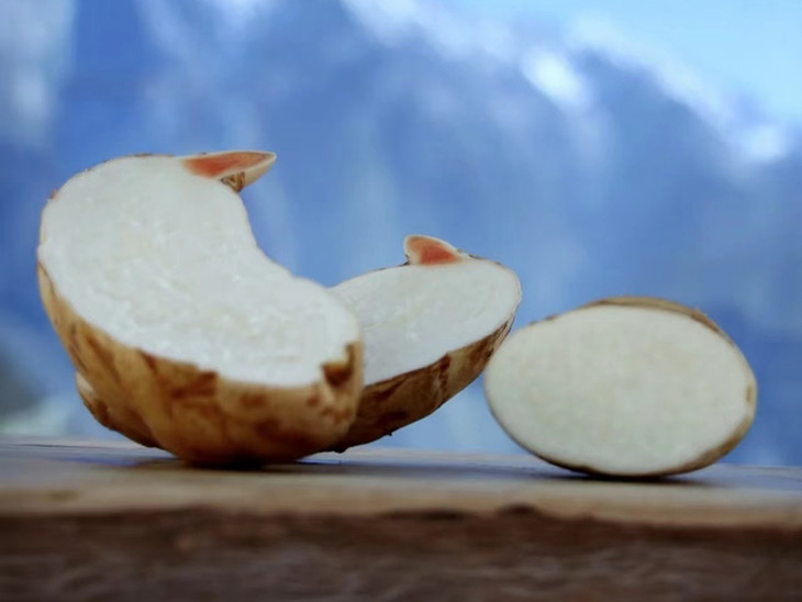 和菜头 云南小草坝新鲜天麻 一盒装2000克装（内含两袋，每袋1000克）