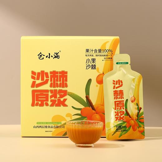 仓小满沙棘原浆300ml盒装 商品图0
