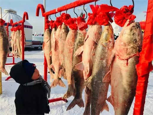 东北溯源❄️囤年货！一年一次，限定美味！查干湖冬捕开始啦！【查干湖胖头鱼礼盒】有机认证，上过《舌尖》的查干湖胖头鱼，究竟有多好吃？零下18℃的湖面，出水即冻！捕猎方式！ 商品图4