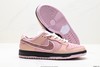 耐克Nike SB Dunk Low休闲运动板鞋BV1310-800男女鞋 商品缩略图4