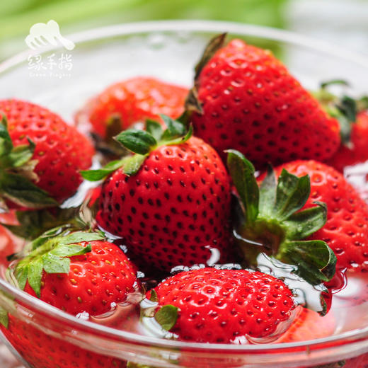 生态陕西草莓 |合作生产 * Eco strawberry | Coproduction 商品图2