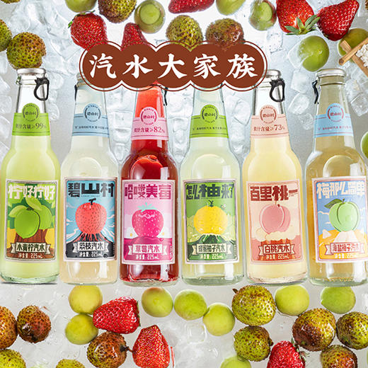 碧山村汽水大家族6瓶装225ml蜂蜜柚海盐梅子荔枝老盐黄皮饮料包邮 商品图0