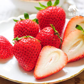 生态陕西草莓 |合作生产 * Eco strawberry | Coproduction
