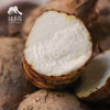 生态云南小芋头（预售，预计11月20日起开始发货） | 合作生产* Ecological  taro  | Partner Production 商品缩略图1