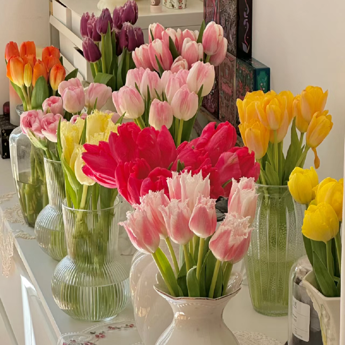 新人专享丨A级郁金香丨盲盒丨5支【单拍不发】