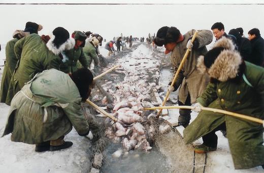 东北溯源❄️囤年货！一年一次，限定美味！查干湖冬捕开始啦！【查干湖胖头鱼礼盒】有机认证，上过《舌尖》的查干湖胖头鱼，究竟有多好吃？零下18℃的湖面，出水即冻！捕猎方式！ 商品图2