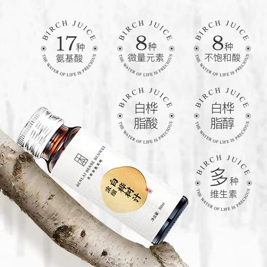 【12倍浓缩白桦树汁 】称为“生命之水”，养生佳品 增强免yi力，酒后护肝，消炎 散结，缓疲劳，美容养yan，滴滴珍贵 商品图7