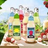 碧山村汽水大家族6瓶装225ml蜂蜜柚海盐梅子荔枝老盐黄皮饮料包邮 商品缩略图1