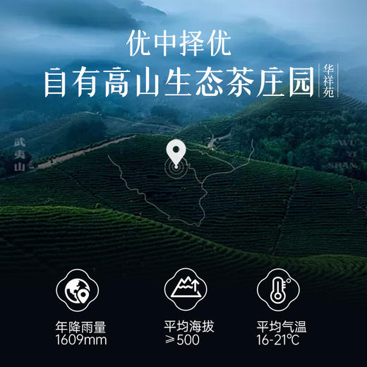 华祥苑红茶特级高山红茶礼盒200g 商品图3