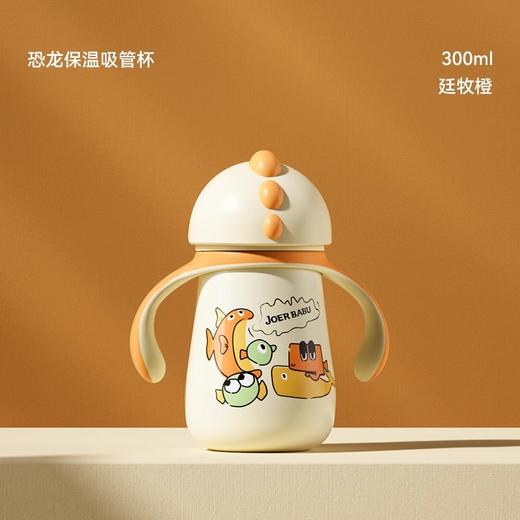 小袋鼠巴布婴儿保温杯儿童一岁水杯鸭嘴学饮杯宝宝外出水壶吸管杯 商品图4