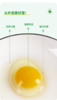 【山东有机山鸡蛋】散养在生态谷的有机鸡蛋，蛋黄色泽鲜艳、蛋清厚稠，可生食，很安全 商品缩略图11