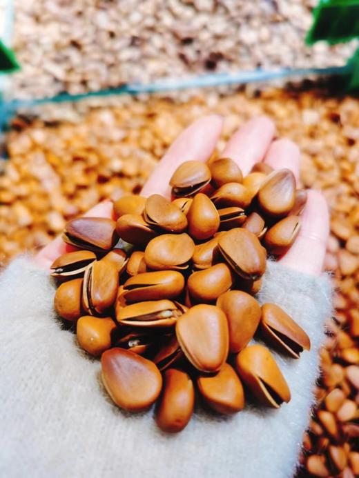 松子王一斤 商品图1