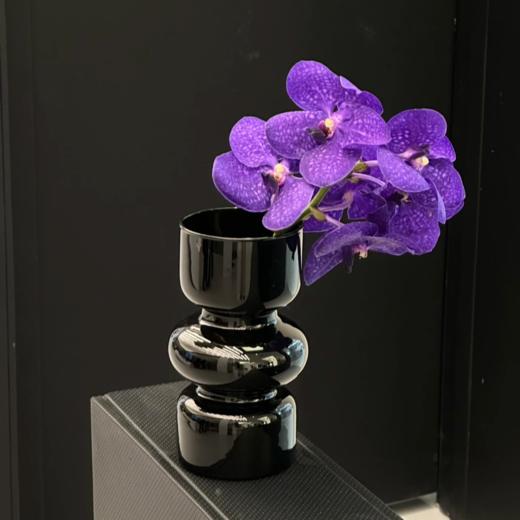 胡姬兰丨紫色丨1株 商品图0