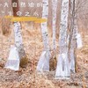 【12倍浓缩白桦树汁 】称为“生命之水”，养生佳品 增强免yi力，酒后护肝，消炎 散结，缓疲劳，美容养yan，滴滴珍贵 商品缩略图13