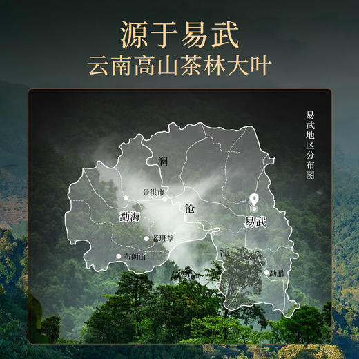 华祥苑易武 普洱 普洱熟茶357g 商品图6