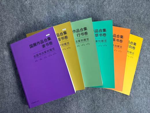 【五届国展合集-系列丛书】每种书体精选近300件作品，含各书体的所有的取法和版式设计 商品图0