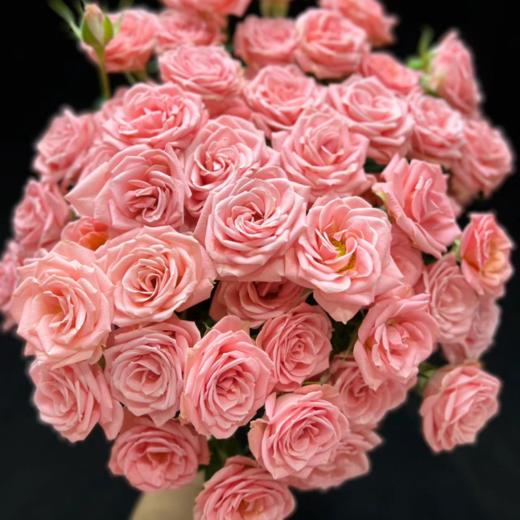 多头露露公主玫瑰丨A级花材 10支 商品图1