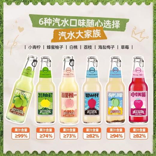 碧山村汽水大家族6瓶装225ml蜂蜜柚海盐梅子荔枝老盐黄皮饮料包邮 商品图2