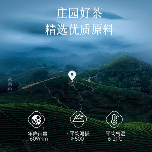 华祥苑红茶 华祥庄园优选红茶礼盒 过年送礼200g 商品图3