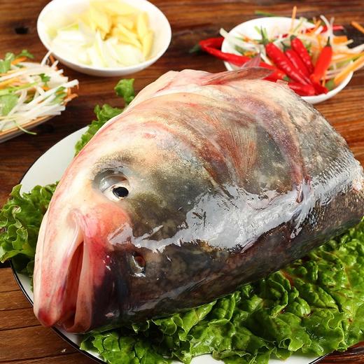 东北溯源❄️囤年货！一年一次，限定美味！查干湖冬捕开始啦！【查干湖胖头鱼礼盒】有机认证，上过《舌尖》的查干湖胖头鱼，究竟有多好吃？零下18℃的湖面，出水即冻！捕猎方式！ 商品图5