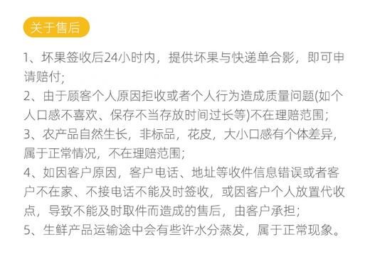 观海听涛长在树上的布丁【黄金奶油芭乐】【红心芭乐】来自福建漳州盐碱地种植  树熟品种 冰淇淋质感 芳香软糯；低糖低卡高VC无负担，适合爱美女士，软糯冰淇淋口感老人小孩都能吃（5斤装） 商品图14