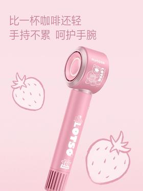 飞科FLYCO   电吹风 FH6372