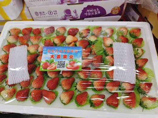 黄胶带大板草莓一箱 商品图0