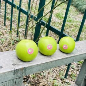 🌹云南苹果牛奶枣，长得一般味道超乎想象，酥嫩滑，一颗几口没了，啃完比吃西瓜还爽有人说她是 “一枣三味”，同时有着枣、苹果、雪梨的味道，像苹果一样清脆、和雪梨一样多汁、还有枣的香味～💚🌹🌹