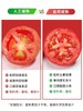 新康西红柿块 免洗免切 一罐搞定多款美食 新疆自然成熟天山雪水灌溉无添加西红柿块 0脂低热量 商品缩略图2