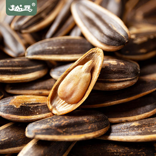 马年越远宝藏瓜子礼盒480g/盒 7种口味混合装炒货葵花籽网红零食年货伴手送礼 商品图5