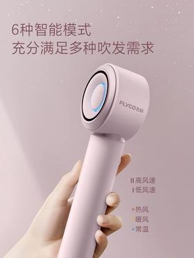 飞科FLYCO   电吹风 FH6371