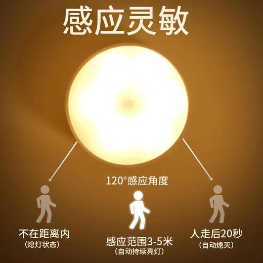 充电人体感应灯 商品图2