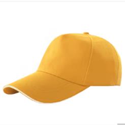 【可调节广告帽鸭舌帽】定制印LOGO遮阳棒球帽 商品图0