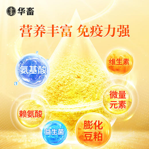 【整吨更优惠】华畜仔猪浓缩预混料肥猪小中大猪饲料预混料促生长催肥快猪开口料 商品图1