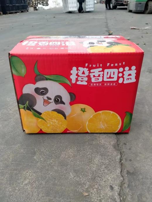 【乡村振兴】四川不知火丑橘  新鲜丑八怪 柑橘  果肉脆嫩 细腻多汁 商品图8