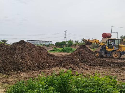 沃野青青*香草莓  净重2.3斤，4盒装 商品图3