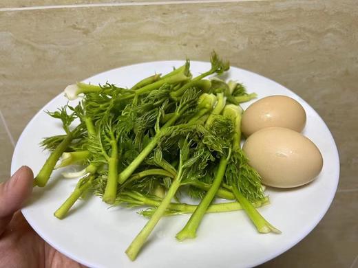 【发货+10元】丨团购·年货节·东北山野菜之母【活体刺嫩芽盆栽礼箱】3斤左右/件（268元）丨山野菜组合6斤左右298元/套丨预计1月25日起开始陆续发货 商品图5