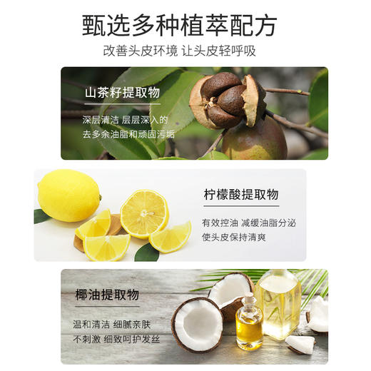 【茶一派】山茶籽油柔顺洗发水 控油蓬松去油女洗头膏 无硅油 358mL/瓶 商品图1