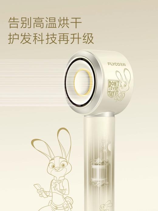 飞科FLYCO   电吹风 FH6372 商品图0